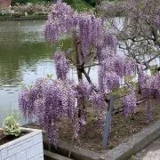 増田享平