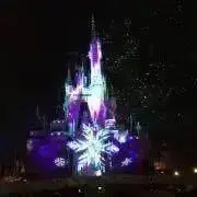まーちゃー⭐︎次回7/2発送予定の画像