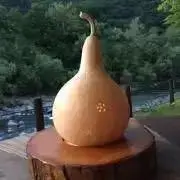 ゆぎもんの画像