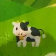 らいちゃんの画像