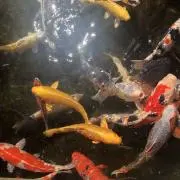 m.n.sの画像