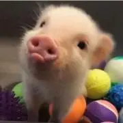 るんるんの画像