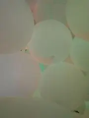 nkの画像