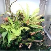 プレコ （プロフィール要確認）の画像