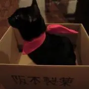 阪本