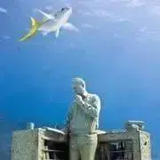 島谷ひとみさん 直筆サイン色紙 宛名あり 歌手 タレント 芸能人 - メルカリ