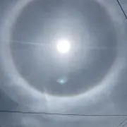 パヨカの画像