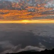 ベスの画像