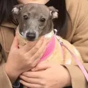 りま