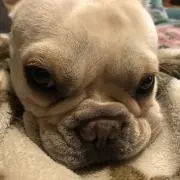 かず