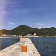 TOYO