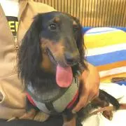 かえみず