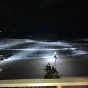 コダック