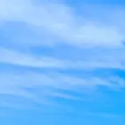 aiaiの画像