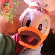 バニーの画像