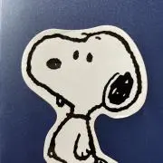しおぴーの画像