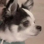 ばうの画像