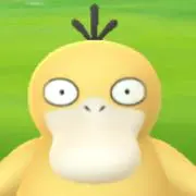 ARata