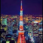yuiの画像