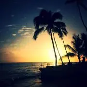 ムイムイの画像