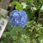 すん※迅速・丁寧に対応します※の画像