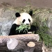 モコMOCOの画像