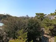 もあ ●即購入 大歓迎ですの画像