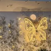 かの画像