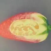じゃじゃ☆の画像
