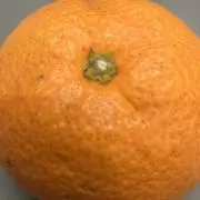 KKの画像