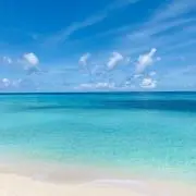 Rの画像