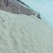 まく