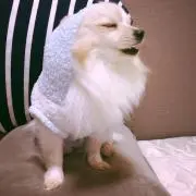 みゆう