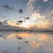 milkの画像