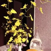 19.comの画像