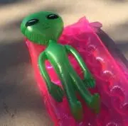 らんの画像
