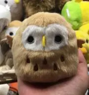 なっちゃん