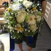 けーん
