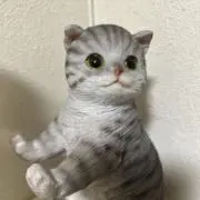 えみドラ