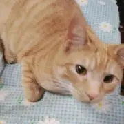 トモ　整理整頓の為＊断捨離中～⭐の画像