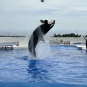 せーたさん
