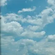 すいふる