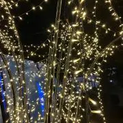 永野の画像