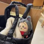 ゆきの画像