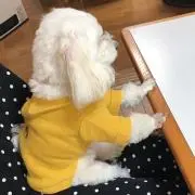 けー