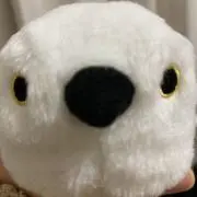 しましまえなえなの画像