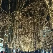 セブン