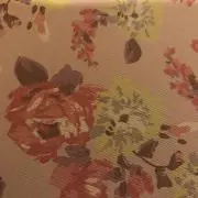 きみさんの画像