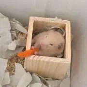 まーもせっと