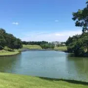 バニラ15の画像